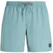 Protest Herren Badeshorts Faster S