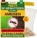 GREEN GUARDIA Super SF-Nematoden gegen Ameisen &ndash; 15 Mio. f&uuml;r 30m&sup2; - Biologisches