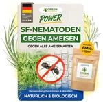 GREEN GUARDIA SF-Nematoden gegen Ameisen &ndash; 6 Mio. f&uuml;r 12 m&sup2; | 6 Mio. SF-Nematoden