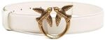 Pinko Damen G&uuml;rtel, Z14q_Seide-Antik-Gold, M