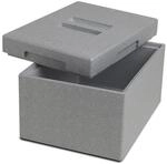 Climapor Transportbox mini aus Styropor, grau &ndash; Volumen: 25,5 x 35 x 21 cm (9