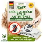 GREEN GUARDIA Pelzk&auml;fer Falle mit Spezial-Lockstoff - 6X Pelzk&auml;fer Fallen -