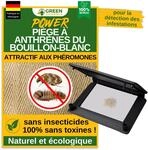 GREEN GUARDIA Wollkrautbl&uuml;tenk&auml;fer Falle mit Pheromon-Lockstoff - 1x Falle -