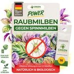 GREEN GUARDIA Raubmilben gegen Spinnmilben - N&uuml;tzlinge f&uuml;r Pflanzen | 1x T&uuml;te -