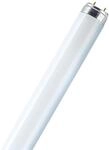 Leuchtstofflampe L 30 Watt 865 Tageslicht - Osram 30W