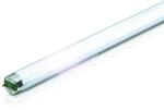 Philips Licht GmbH MASTER TL-D TLD 30 W/865 daylight