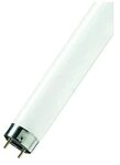 OSRAM Leuchtstoffr&ouml;hre Lumilux 18W L.59cm Rohr-D.26mm Energy A cool white...