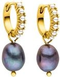 Purelei - Pearly Creolen Damen &ndash; Edelstahl 18K vergoldet/ros&eacute;/silber &ndash; Mit