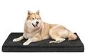 lionto Orthop&auml;disches Hundebett mit Memory-Schaum, 112 x 81 x 8 cm, Schwarz 