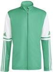 adidas Herren Squadra25 Training Sweatshirt, Team Green/White, L