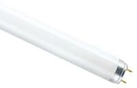 Osram L18 W/830 18 W G13 A