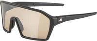 ALPINA RAM Q-LITE V Sportbrille, black matt, One Size