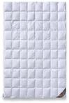 daunen-federn.de Sommerbettdecke 135x200 Premium: 100% nat&uuml;rliche Materialien,