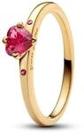 Pandora Explosion der Liebe Ring 166574C01 Damenring