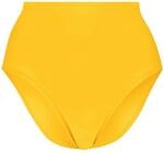 PUMA Swim Women HIGH Waist Briefs 1P