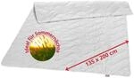 liebling Wildseide Sommerdecke 135x200 cm, Wildseidendecke, Sommerbettdecke