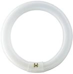 Philips Birne G10Q CIRCLINE 32w 4000K /840