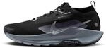 NIKE Pegasus Trail 5 Gore-TEX Black/Wolf Grey-COOL Grey-Anthracite 47 EU