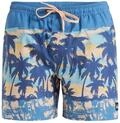 Quiksilver - Everyday Straight Volley 15" Boardshorts - Mann