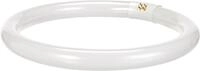 Osram 4008321581143 Leuchtstoffr&ouml;hre, Lumilux T9 C, G10Q-Sockel, 4000 K,...