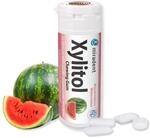 miradent Xylitol Zahnpflegekaugummi Wassermelone Dose 30 St&uuml;ck (1 x 30 g) 
