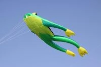 Wolkenst&uuml;rmer&reg; Fritz The Frog - Gr&uuml;ner Froschdrachen Einleiner Drachen ohne