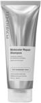 Pom&eacute;lo+Co. Molecular Repair Shampoo &ndash; Tiefenwirksames Shampoo f&uuml;r trockenes Haar