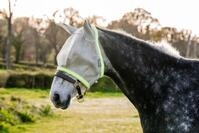 Amigo Fly Mask, WB, Silver/Lime
