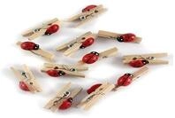 GLOREX 6 8605 228 Marienk&auml;fer Mini W&auml;scheklammer, Holz, Mehrfarbig, 11 x 5, 6 x 1