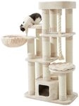 Nobby Kratzbaum Fredo Cream; 85 x 50 x 158 cm