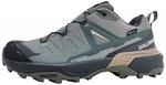 Salomon Shoes X Ultra 360 GTX W Sedsa/Ubnchi/ETH Sedona SAGE/URBAN CHIC/ETHEREA...