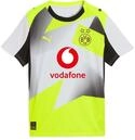 PUMA Borussia Dortmund Replica Trikot Away Kids grau, 116 Kinder