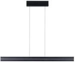 Paulmann 78474 LED Pendelleuchte Raiko RGBW+ dimmbar 2300lm / 370lm 19W / 6W Schwarz