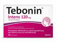 Tebonin intens 120 mg | 60 Tabletten bei akutem & chronischem Tinnitus* 