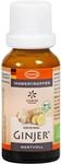 INGWER GINJER forte Tropfen 20 ml