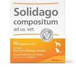 SUC-Kombination von Heel Vet, Solidago compositum ad us. Vet. 10 Ampullen