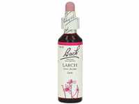 Bachblte Larch, 20 ml