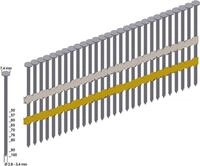 Rundkopf-Streifenn&auml;gel 3000 St. Prebena RK31/90BK