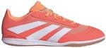 adidas Predator Club IN SALA SIGCOR/FTWWHT/BEAORA - 9/43 1/3