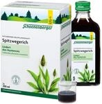 Schoenenberger - Spitzwegerich naturreiner Heilpflanzensaft - 3x 200 ml (600 ml)