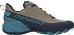 DYNAFIT Herren Transalper 2 GTX Schuhe, Blueberry-Fallen Rock, 47