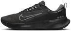 Nike Juniper Trail 2 Gore-TEX Wasserdichter Traillaufschuh f&uuml;r Herren, HM9734