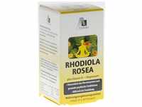 Avitale Rhodiola Rosea Kapseln 200 mg, 60 Stück, 1er Pack (1 x 33 g)