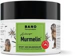 BANO Arlberger Murmelin Sport und Gelenksalbe I Original Murmeltiersalbe I MADE IN