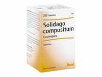 SOLIDAGO COMPOSITUM Cosmoplex Tabletten 250 St