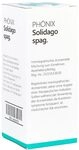 PH&Ouml;NIX SOLIDAGO spag.Mischung 100 ml