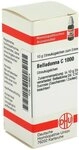 Belladonna C1000 Globuli 10 g