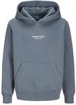 JACK & JONES Male Kapuzenpullover Gedruckt Kapuzenpullover | Relaxed Fit, Gedruckt,