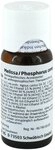 Melissa/phosphorus Comp. Dilution 50 ml