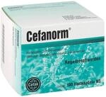 CEFANORM Hartkapseln 100 St
